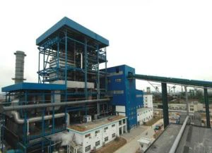 Biyokütle ve MSW Enerji Santrali Kazanı